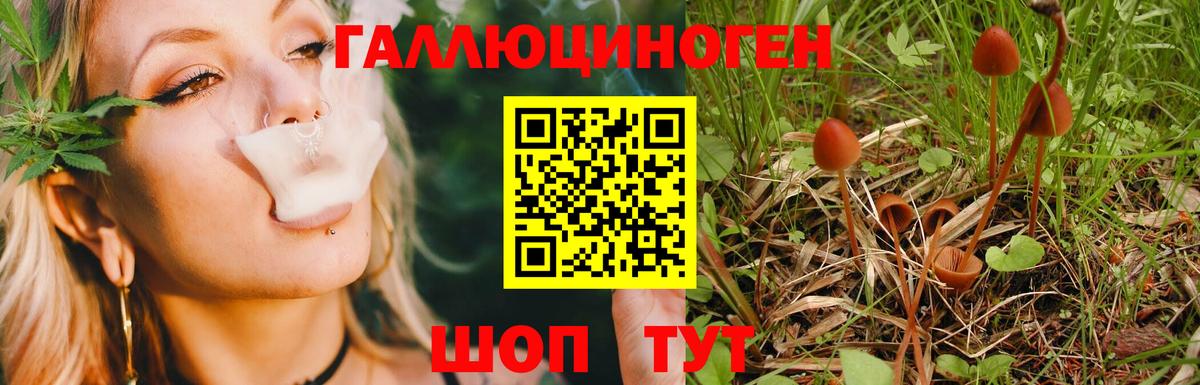 Псилоцибиновые грибы MAGIC MUSHROOMS Ивантеевка