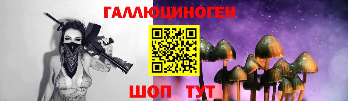 Псилоцибиновые грибы мицелий  Галлюциногенные грибы прущие грибы  купить наркотики цена  Ивантеевка  Вход с VPN 